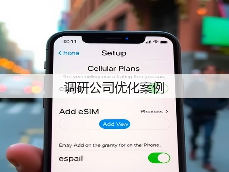 调研公司优化案例(图2)
