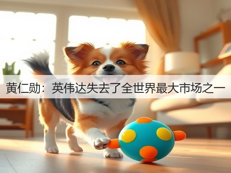 黄仁勋:英伟达失去了全世界最大市场之一(图2) 黄仁勋:英伟达失去了全世界最大市场之一(图2)