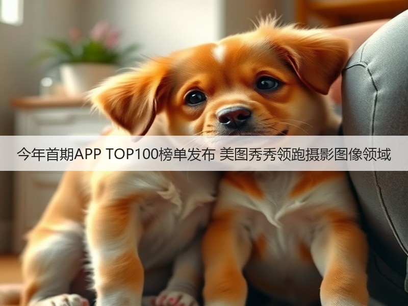 今年首期APP TOP100榜单发布 美图秀秀领跑摄影图像领域(图2)