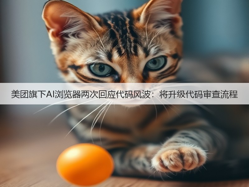 美团旗下AI浏览器两次回应代码风波：将升级代码审查流程(图2)