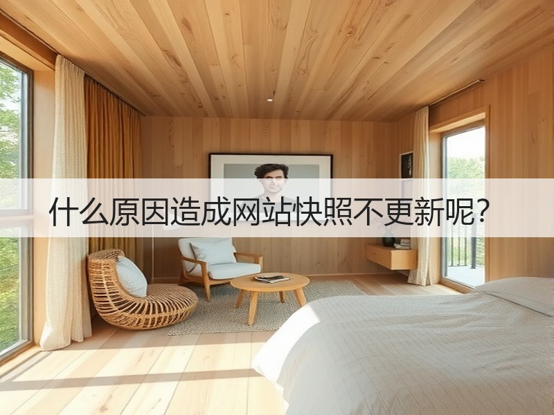 什么原因造成网站快照不更新呢？(图2)