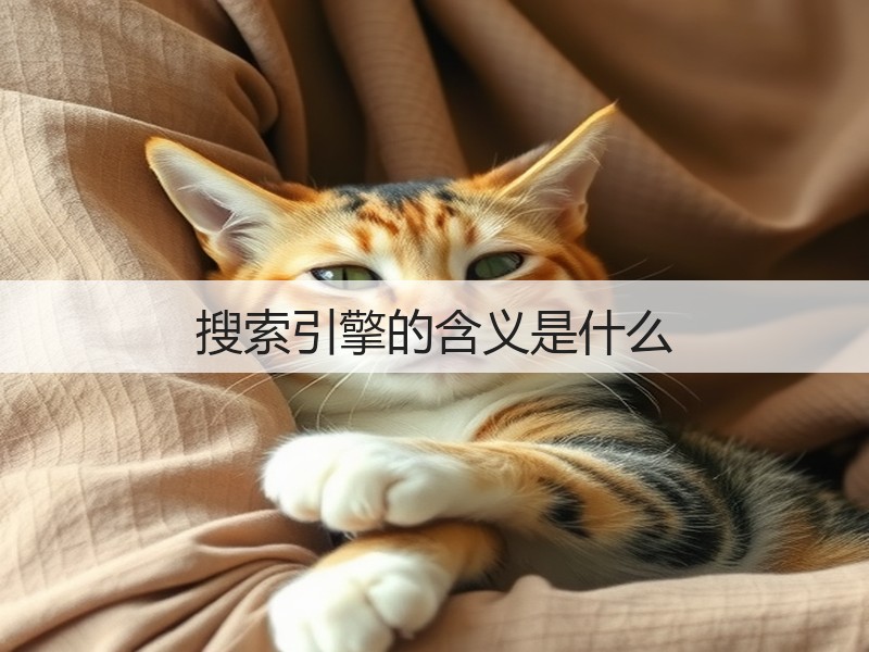 搜索引擎的含义是什么(图3)