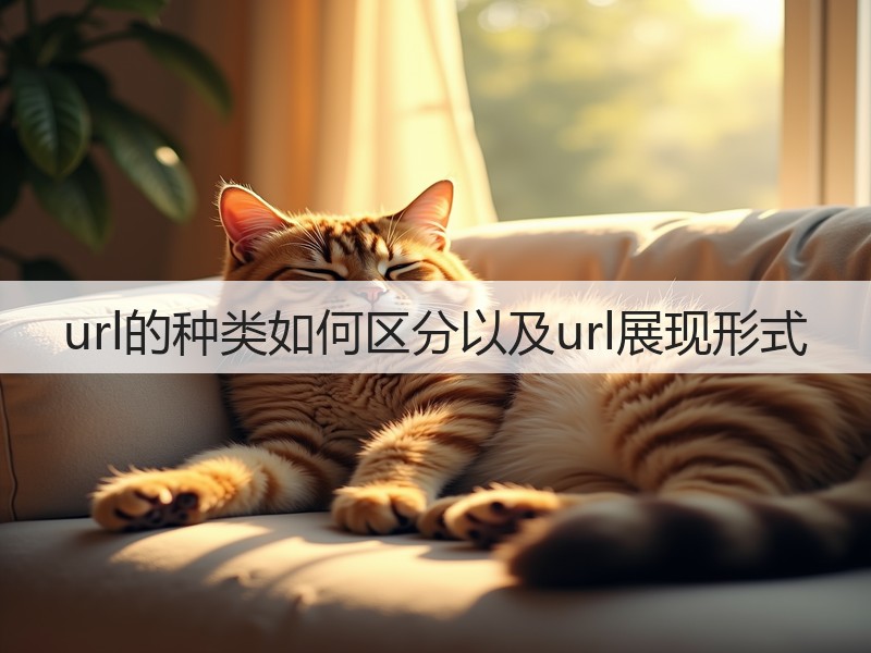 url的种类如何区分以及url展现形式(图3)
