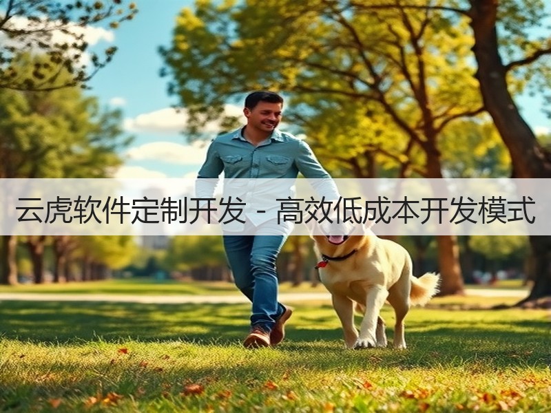 云虎软件定制开发 - 高效低成本开发模式(图2)