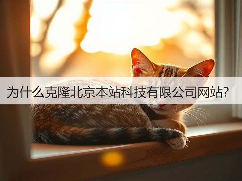 为什么克隆北京本站科技有限公司网站？