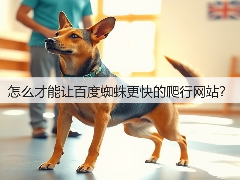 怎么才能让百度蜘蛛更快的爬行网站？(图2)
