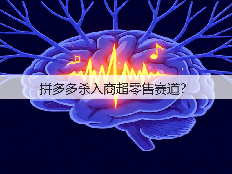 拼多多杀入商超零售赛道?(图2) 拼多多杀入商超零售赛道?(图2)