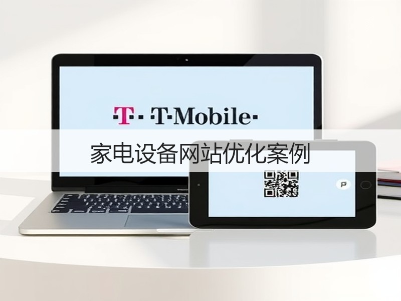 家电设备网站优化案例(图2) 家电设备网站优化案例(图2)