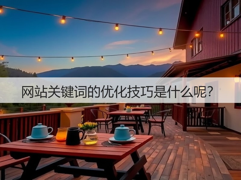 网站关键词的优化技巧是什么呢？(图2)
