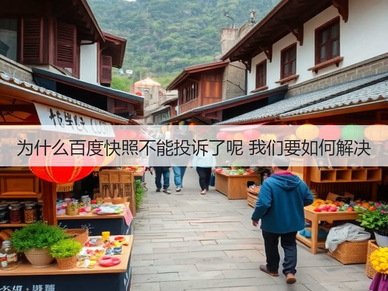 为什么百度快照不能投诉了呢 我们要如何解决