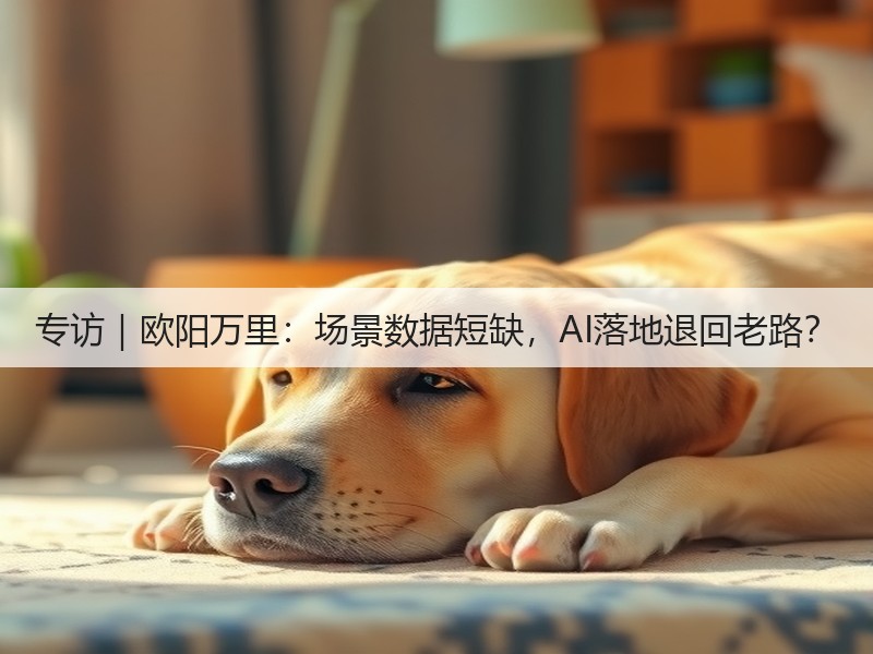 专访|欧阳万里:场景数据短缺,AI落地退回老路?(图3) 专访|欧阳万里:场景数据短缺,AI落地退回老路?(图3)