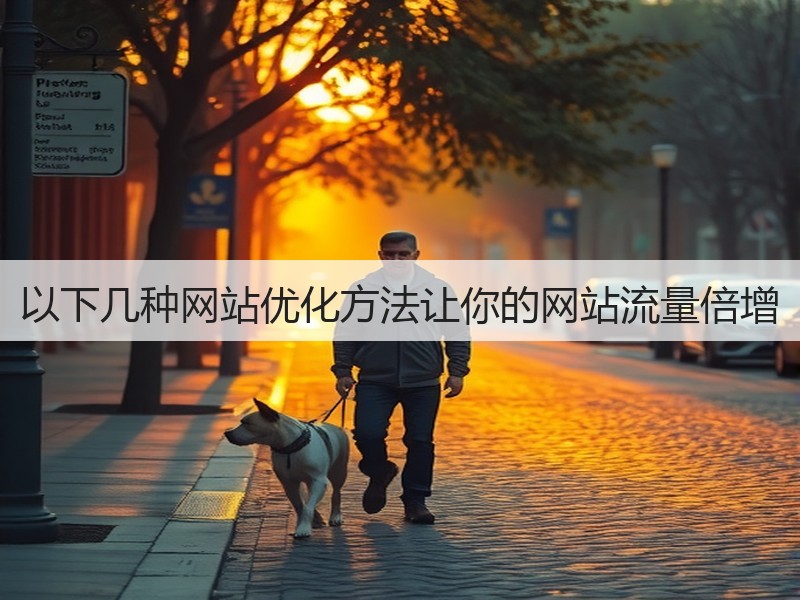 以下几种网站优化方法让你的网站流量倍增(图2)
