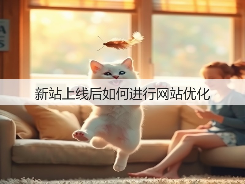 新站上线后如何进行网站优化(图2)