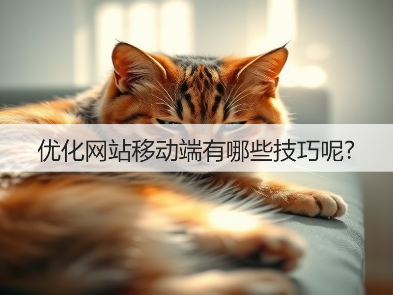 优化网站移动端有哪些技巧呢?
