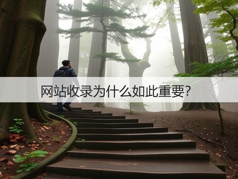网站收录为什么如此重要?(图2) 网站收录为什么如此重要?(图2)