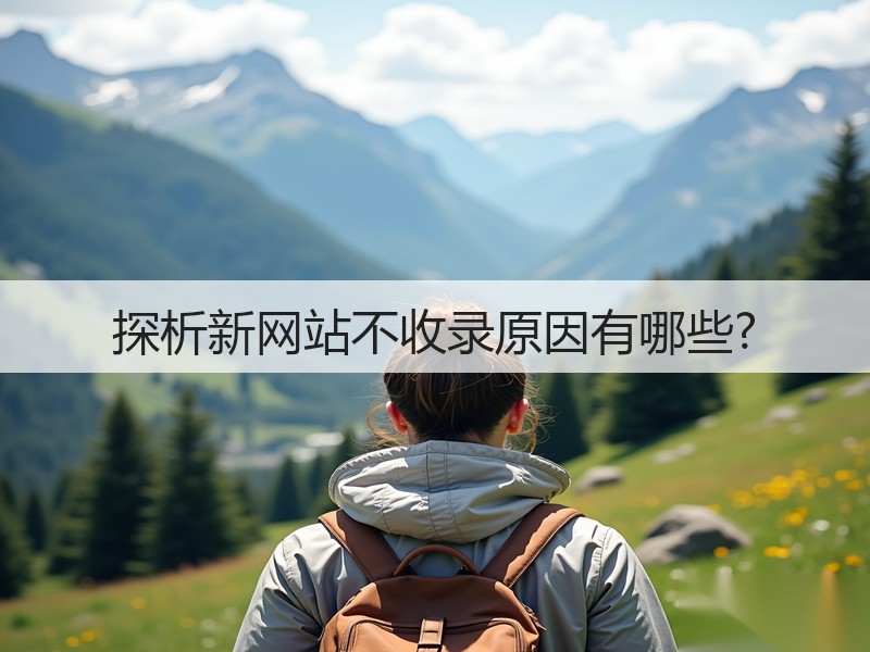 探析新网站不收录原因有哪些?(图2)