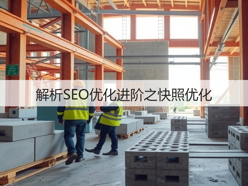 解析SEO优化进阶之快照优化(图3)