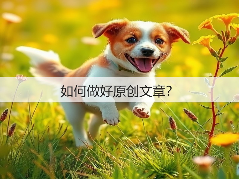 如何做好原创文章?(图3) 如何做好原创文章?(图3)