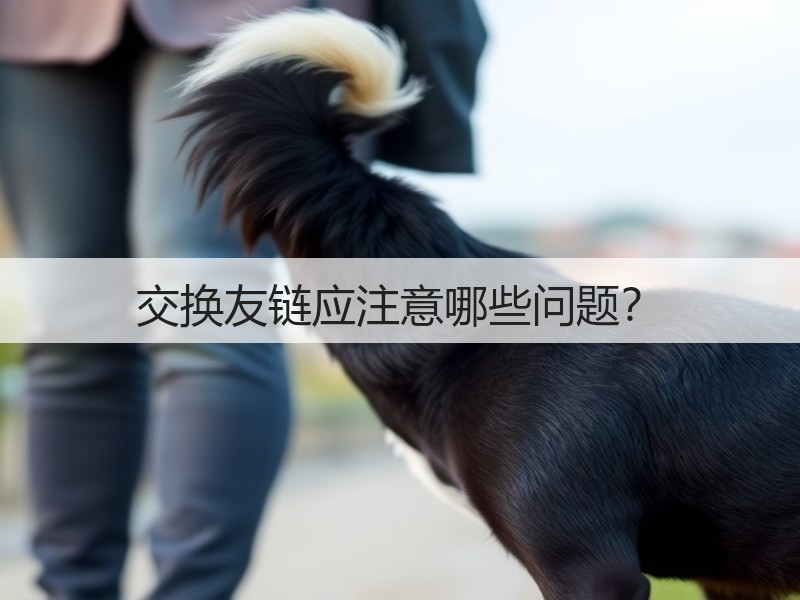交换友链应注意哪些问题？(图2)