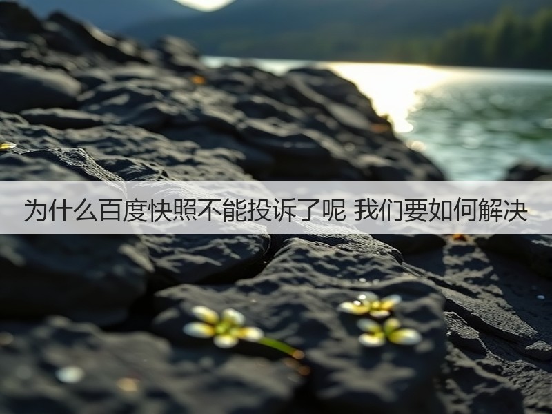 为什么百度快照不能投诉了呢 我们要如何解决(图1)