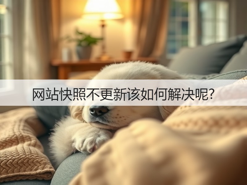 网站快照不更新该如何解决呢?(图2)
