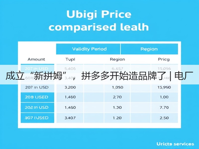 成立“新拼姆”，拼多多开始造品牌了 | 电厂(图3)