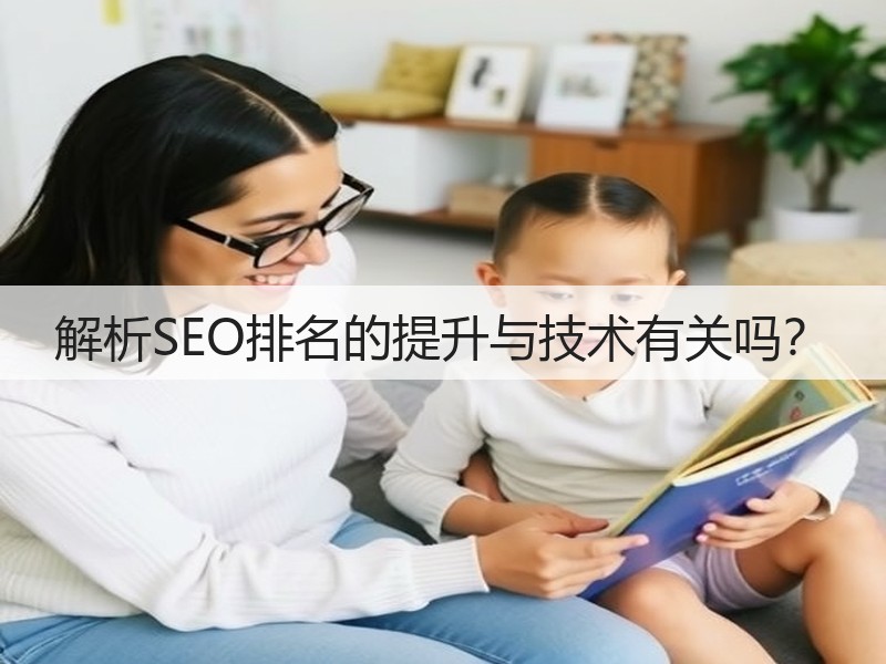 解析SEO排名的提升与技术有关吗?(图3) 解析SEO排名的提升与技术有关吗?(图3)