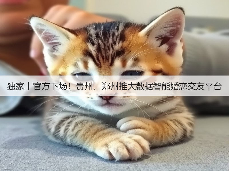 独家丨官方下场!贵州、郑州推大数据智能婚恋交友平台(图2) 独家丨官方下场!贵州、郑州推大数据智能婚恋交友平台(图2)