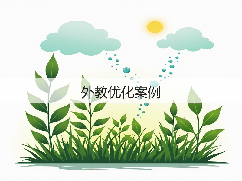 外教优化案例(图3) 外教优化案例(图3)