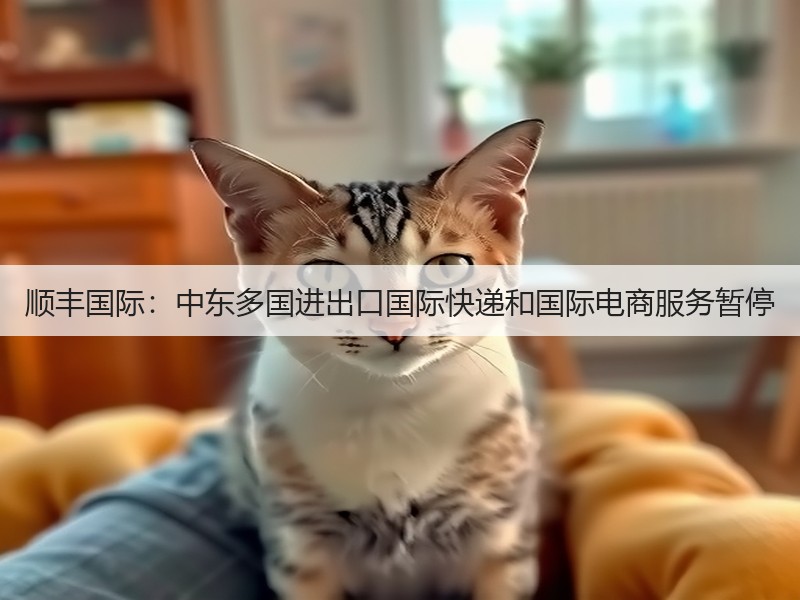 顺丰国际：中东多国进出口国际快递和国际电商服务暂停(图2)