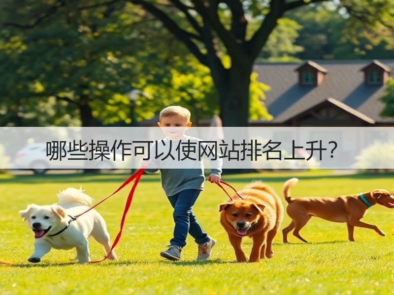 哪些操作可以使网站排名上升?(图2) 哪些操作可以使网站排名上升?(图2)