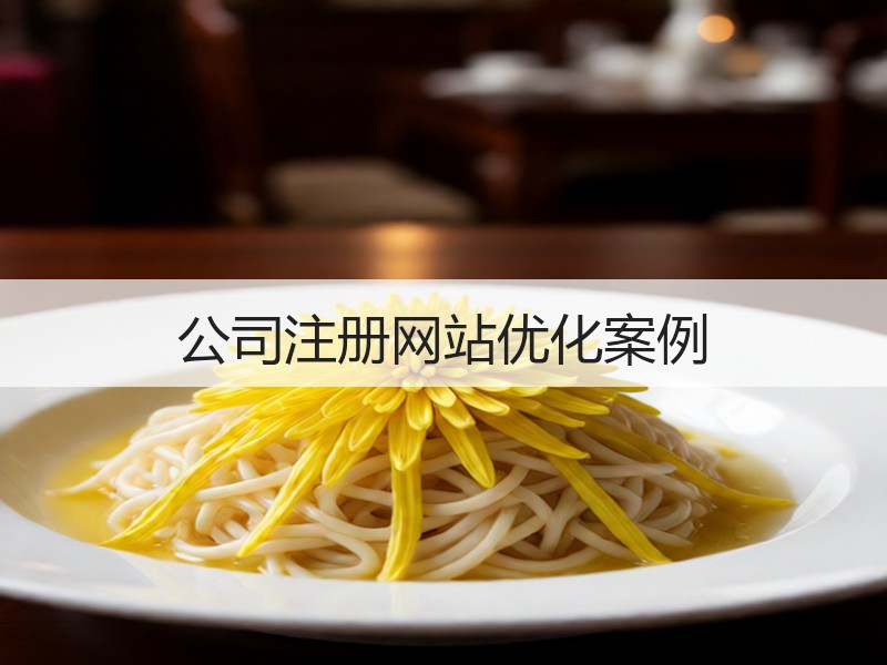 公司注册网站优化案例