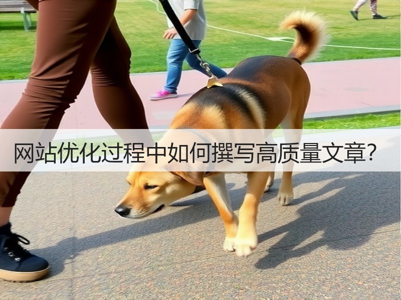 网站优化过程中如何撰写高质量文章？(图1)