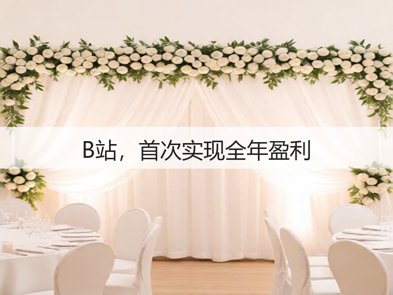 B站，首次实现全年盈利(图2)