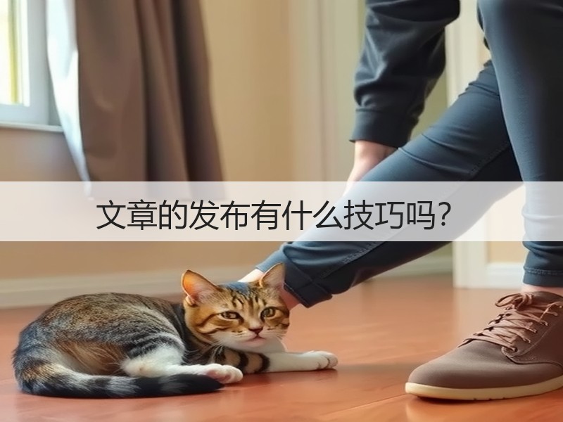 文章的发布有什么技巧吗？(图3)