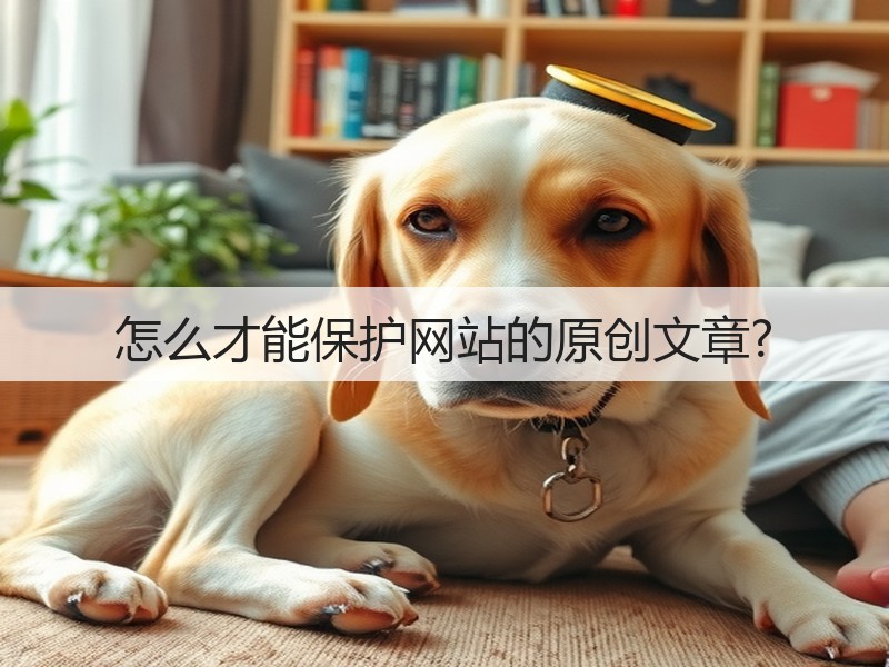 怎么才能保护网站的原创文章?(图3) 怎么才能保护网站的原创文章?(图3)