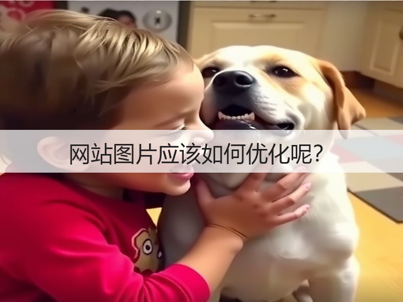 网站图片应该如何优化呢？(图2)