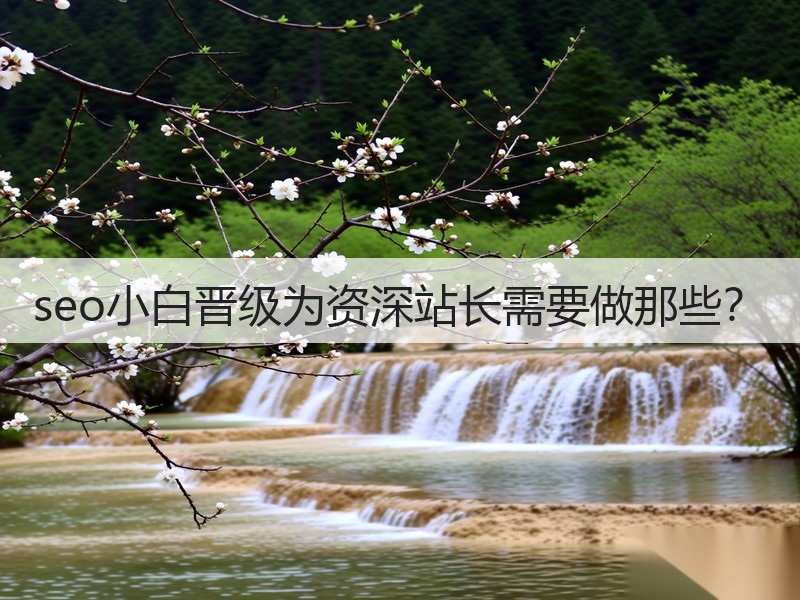 seo小白晋级为资深站长需要做那些?(图3) seo小白晋级为资深站长需要做那些?(图3)