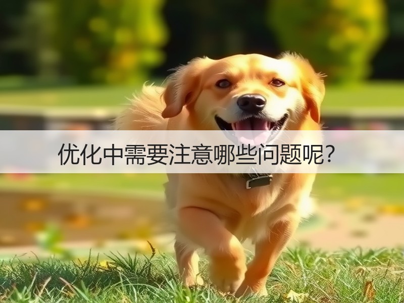 优化中需要注意哪些问题呢？(图1)