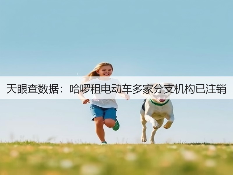 天眼查数据：哈啰租电动车多家分支机构已注销(图3)