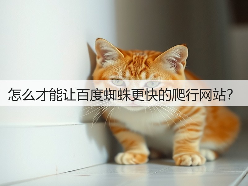 怎么才能让百度蜘蛛更快的爬行网站？(图2)