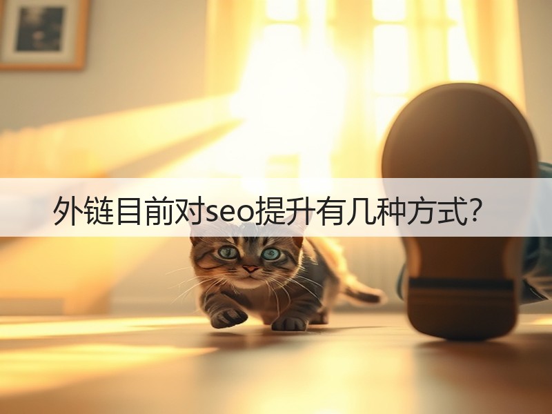 外链目前对seo提升有几种方式？(图2)