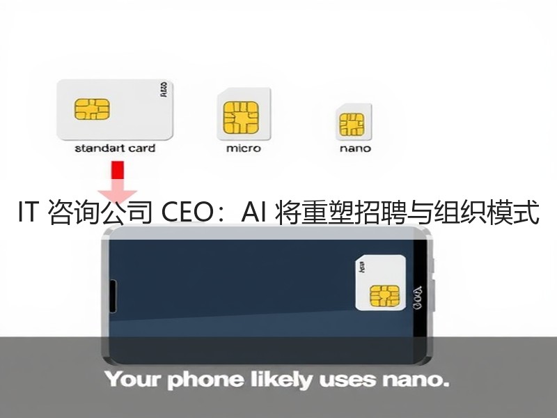 IT 咨询公司 CEO：AI 将重塑招聘与组织模式