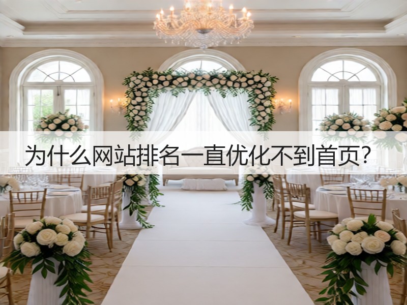 为什么网站排名一直优化不到首页？(图3)