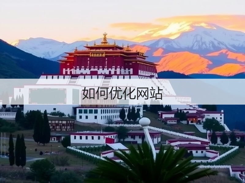 如何优化网站(图1)
