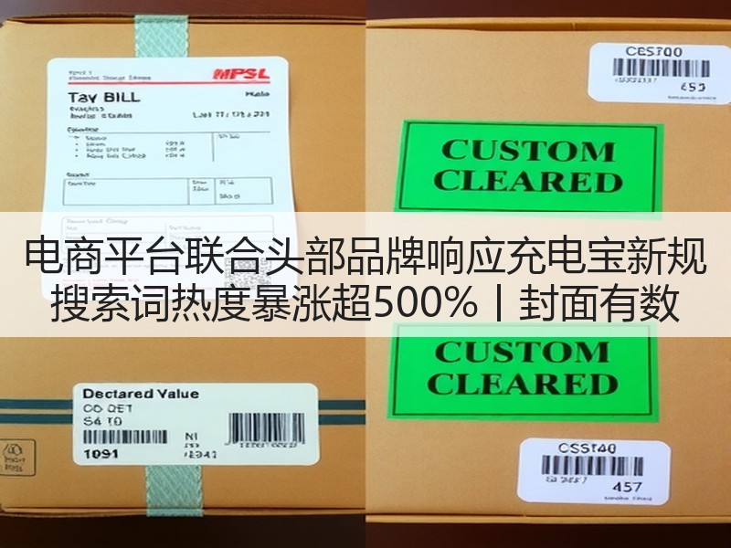 电商平台联合头部品牌响应充电宝新规 搜索词热度暴涨超500%丨封面有数(图3)