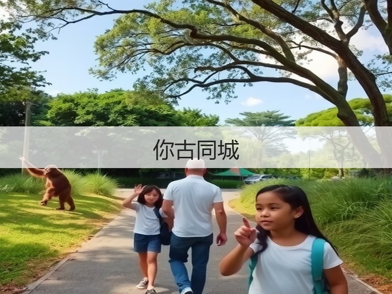 你古同城(图3)