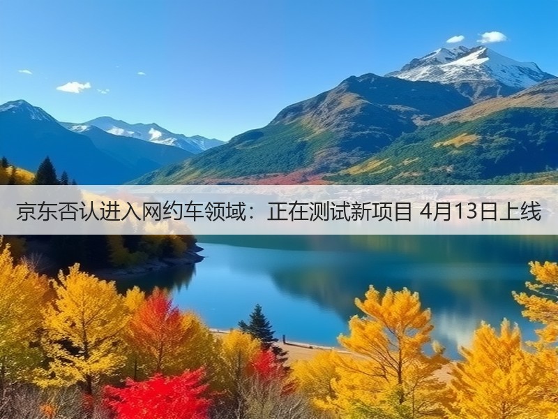 京东否认进入网约车领域：正在测试新项目 4月13日上线(图2)