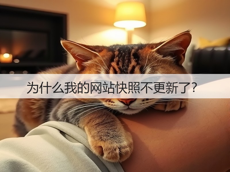 为什么我的网站快照不更新了？(图2)