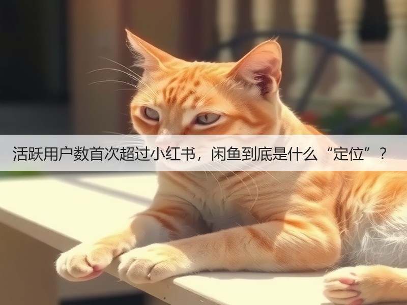 活跃用户数首次超过小红书,闲鱼到底是什么“定位”?(图2) 活跃用户数首次超过小红书,闲鱼到底是什么“定位”?(图2)